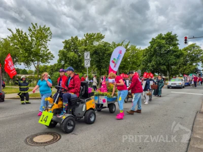 Foto des Albums: Festumzug zu 770 Jahre Stadtrecht - Teil 1