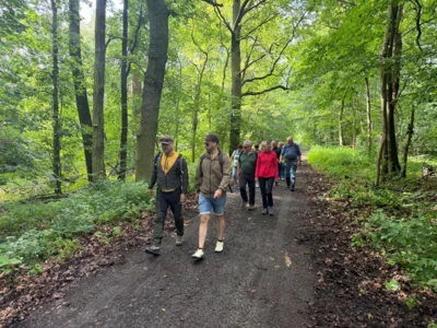 Im Tresenwald  (Bild vergr&ouml;&szlig;ern)
