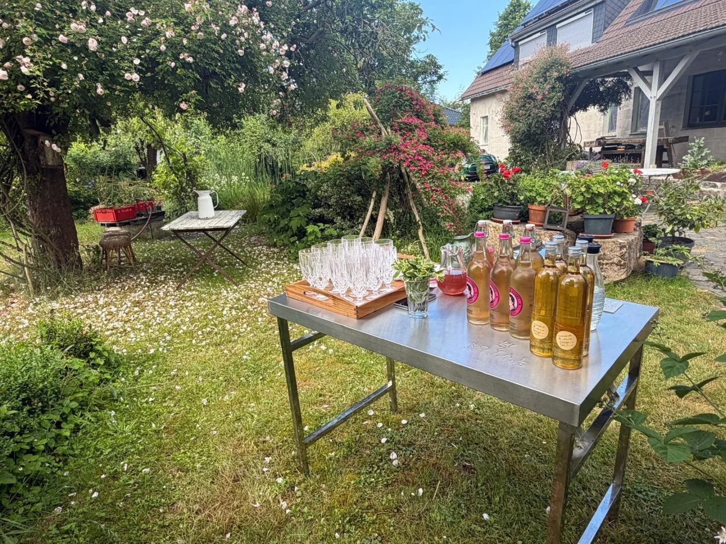 Bild: Eine schöne Kollektion