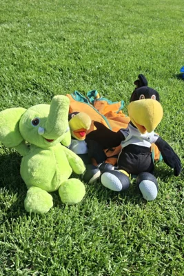Foto des Albums: Bambini und F-Jugend der JSG Vorderhunsrück Zilshausen absolvieren das DFB-Schnupperabzeichen