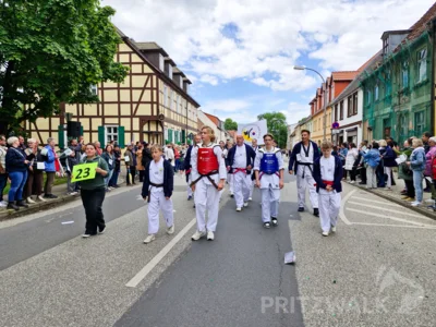 Foto des Albums: Festumzug zu 770 Jahre Stadtrecht - Teil 2