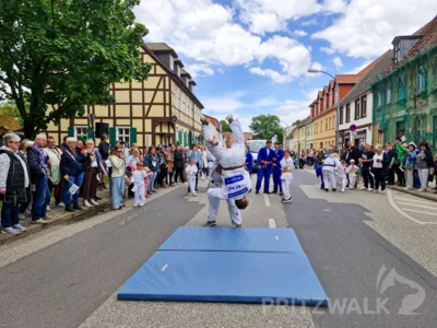 Foto des Albums: Festumzug zu 770 Jahre Stadtrecht - Teil 2