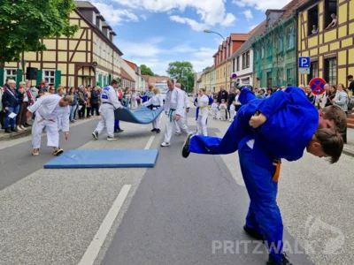 Foto des Albums: Festumzug zu 770 Jahre Stadtrecht - Teil 2