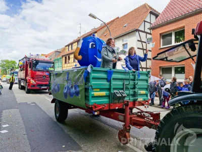 Foto des Albums: Festumzug zu 770 Jahre Stadtrecht - Teil 2