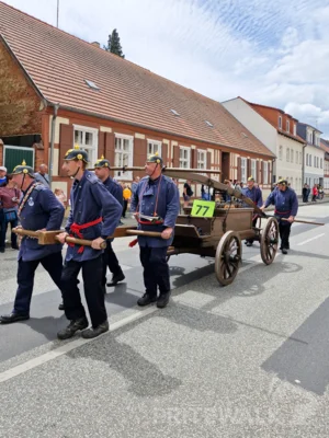 Foto des Albums: Festumzug zu 770 Jahre Stadtrecht - Teil 2