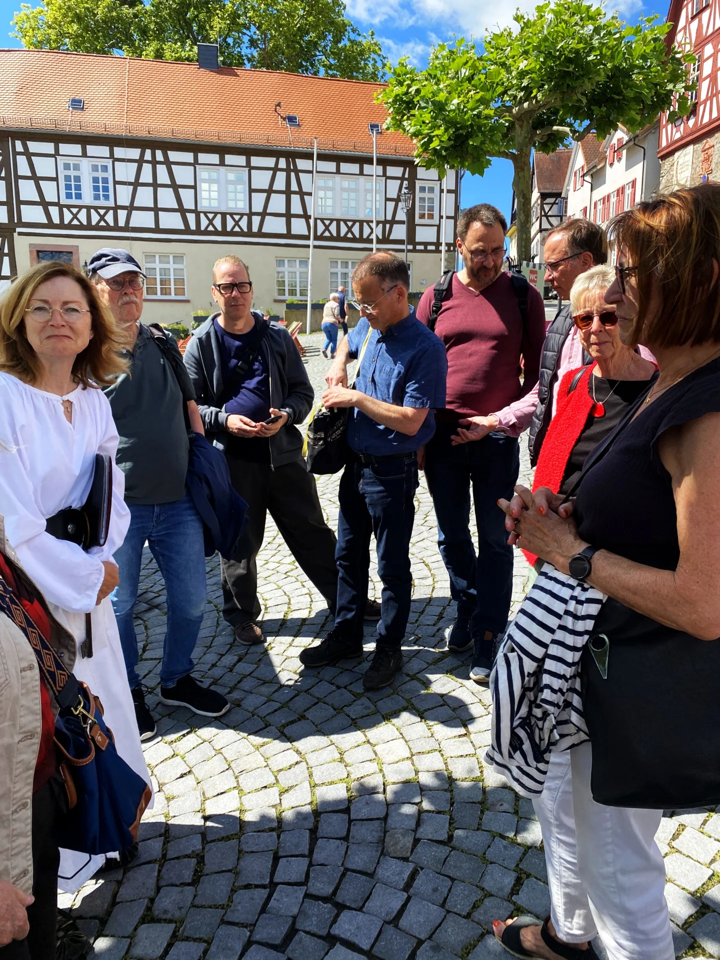 Bild der Galerie
