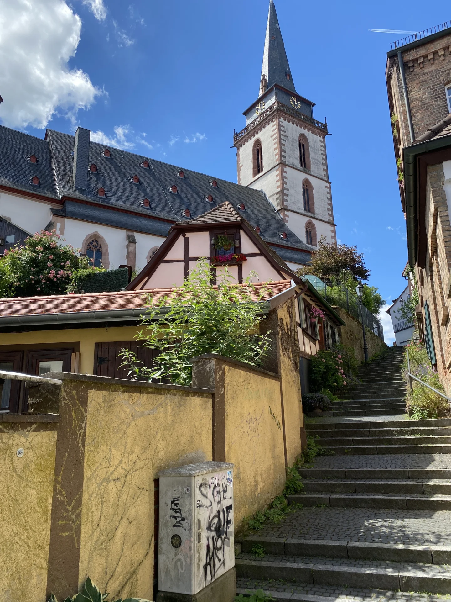 Bild der Galerie