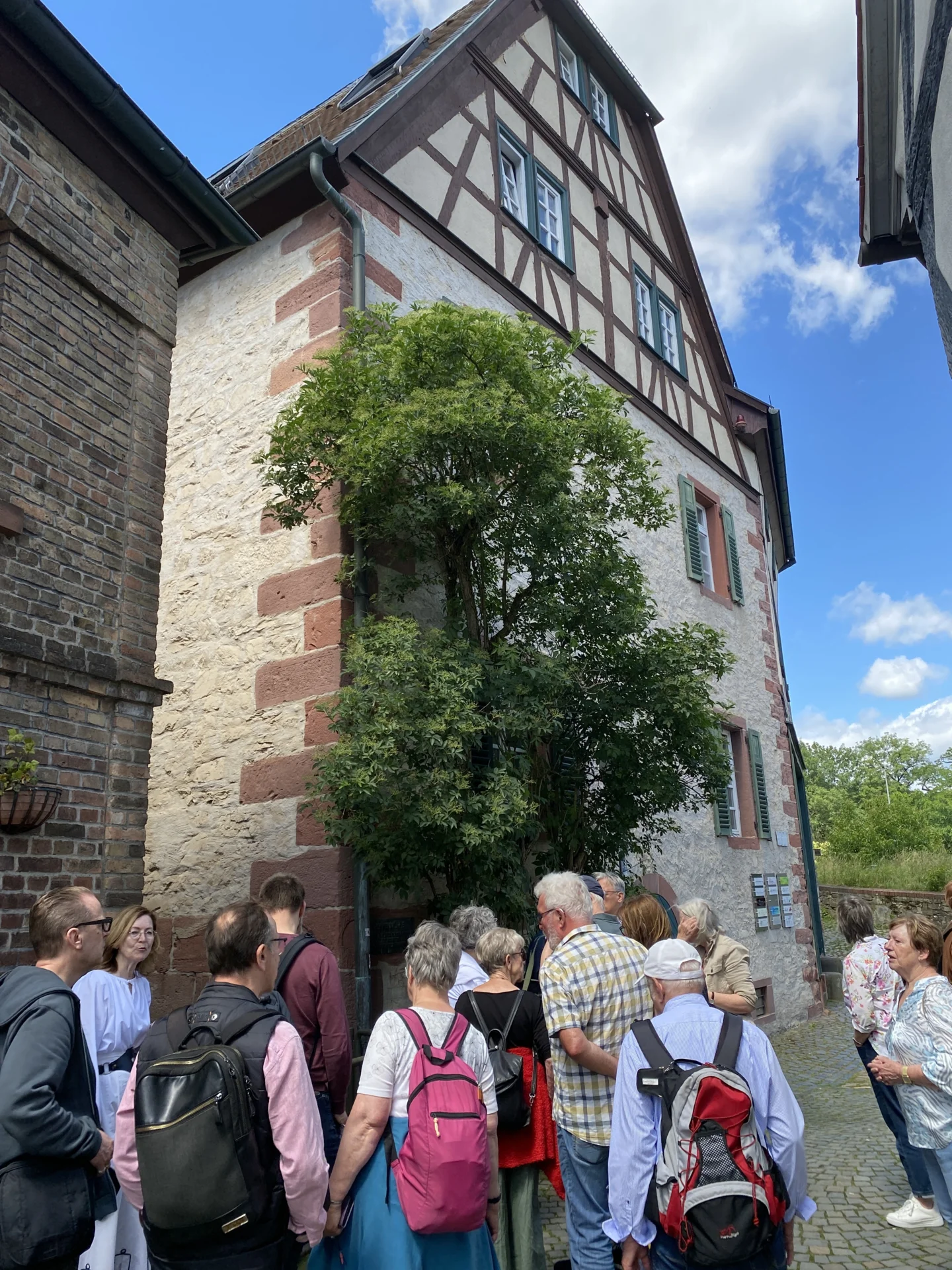 Bild der Galerie