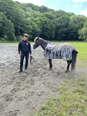 Foto des Albums: Tobi Kurs 2026