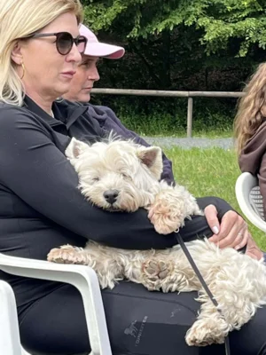 Foto des Albums: Tobi Kurs 2026
