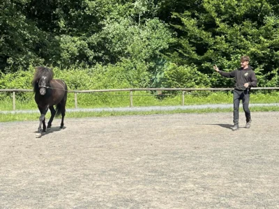 Foto des Albums: Tobi Kurs 2026