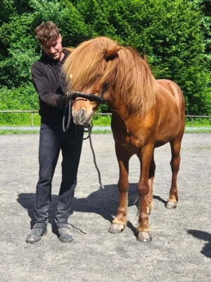 Foto des Albums: Tobi Kurs 2026