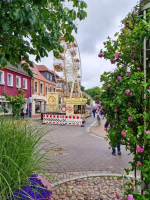 Foto des Albums: Das waren die Pritzwalker Festtage - Von der Eröffnung bis zu den 