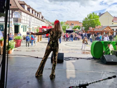Foto des Albums: Das waren die Pritzwalker Festtage - Von der Eröffnung bis zu den 