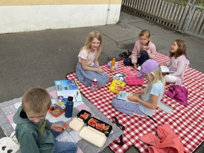 Foto des Albums: Lesepicknick