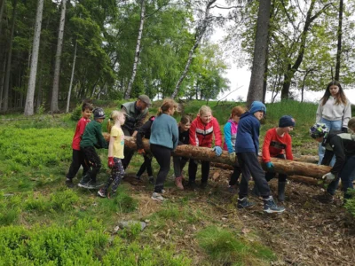 Foto des Albums: Wanderung zum Schulwald