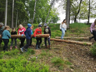 Foto des Albums: Wanderung zum Schulwald