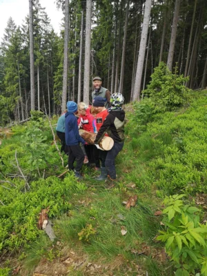 Foto des Albums: Wanderung zum Schulwald