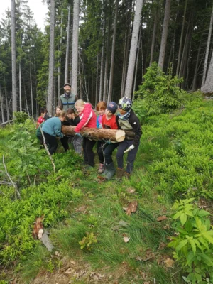 Foto des Albums: Wanderung zum Schulwald