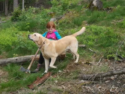 Foto des Albums: Wanderung zum Schulwald