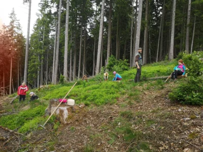 Foto des Albums: Wanderung zum Schulwald