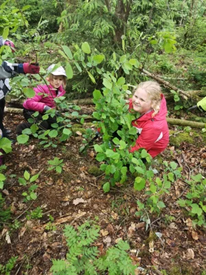 Foto des Albums: Wanderung zum Schulwald