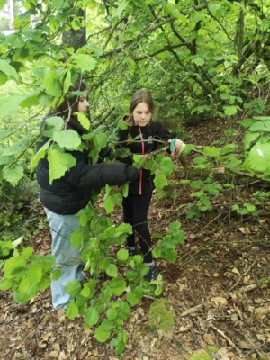 Foto des Albums: Wanderung zum Schulwald
