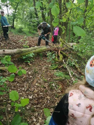 Foto des Albums: Wanderung zum Schulwald