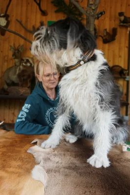 auch echte Tiere im Wagen  (Bild vergr&ouml;&szlig;ern)