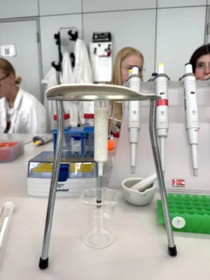 Foto des Albums: Der Biologie Grundkurs der Einführungsphase experimentiert im Schülerlabor Just Science (17.6.2026)