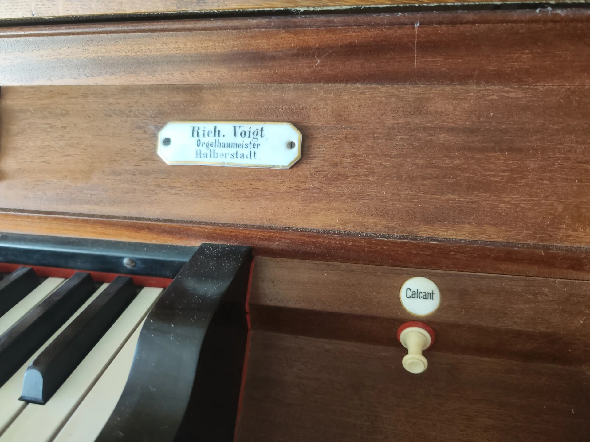 Bild: Orgel