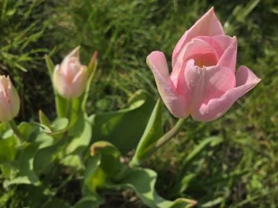 Foto des Albums: Impressionen