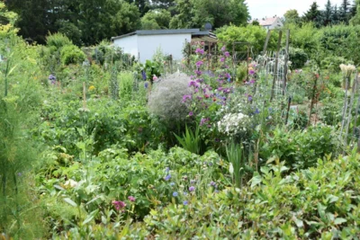 Foto des Albums: Landeswettbewerb 2025