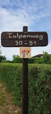 Foto des Albums: Landeswettbewerb 2025