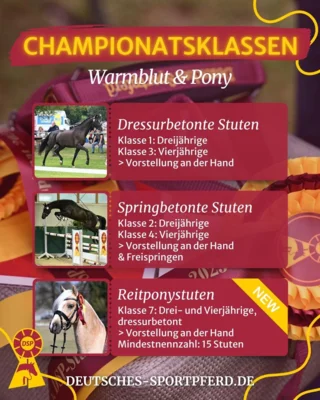Foto des Albums: DSP-Stutenchampionat 2026