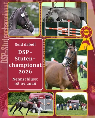 Foto des Albums: DSP-Stutenchampionat 2026