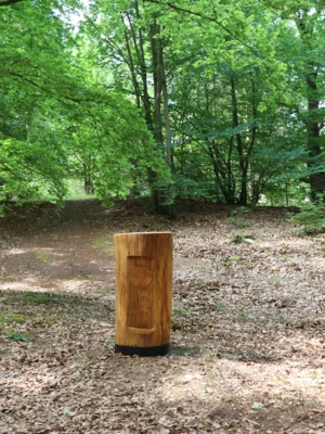 Vorschaubild der Galerie