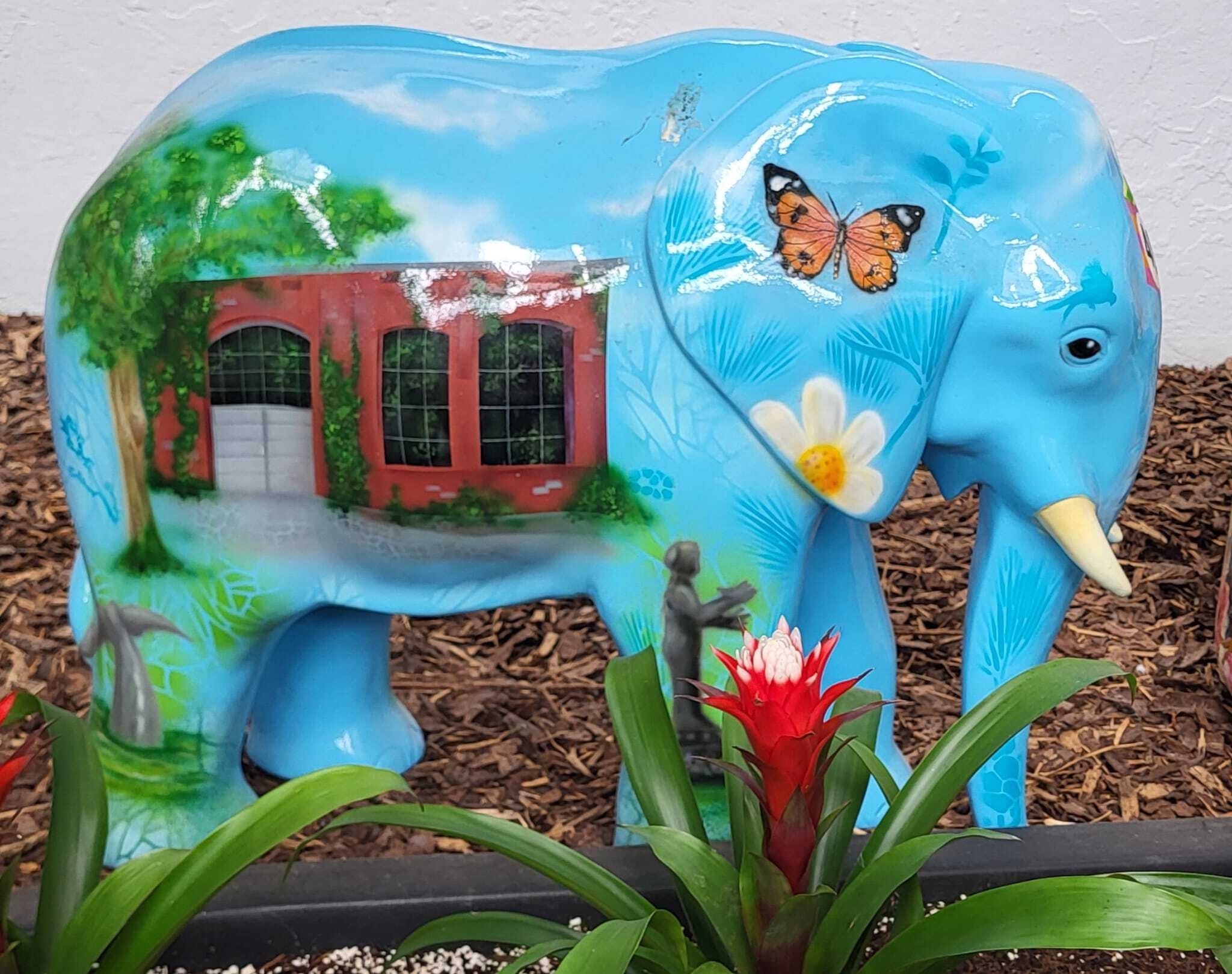 Bild: 73 Elefant Hamm