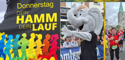 12 der Maxi-Lauf  (Bild vergr&ouml;&szlig;ern)