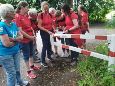 36 erst mal informieren  (Bild vergr&ouml;&szlig;ern)