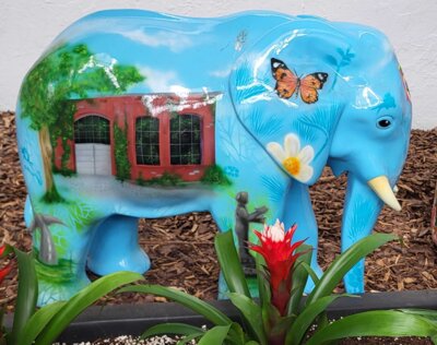 73 Elefant  Hamm  (Bild vergr&ouml;&szlig;ern)