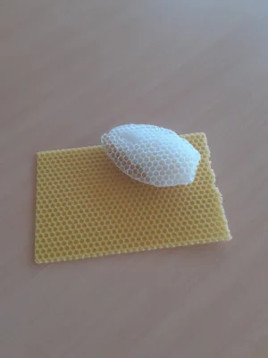 Foto des Albums: Bienenprojekt Kl. 1 🐝