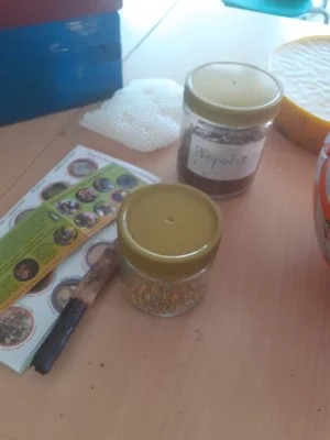 Foto des Albums: Bienenprojekt Kl. 1 🐝