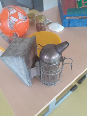 Foto des Albums: Bienenprojekt Kl. 1 🐝