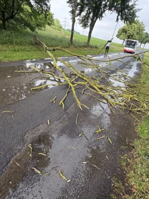 Foto des Albums: Einsatz 17-26