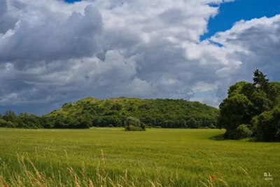 Blick zum Waldberg Empelde  (Bild vergr&ouml;&szlig;ern)
