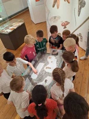 Vorschaubild der Galerie