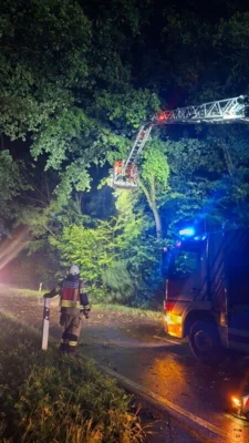 Foto des Albums: Einsatz 23/2026