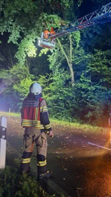 Foto des Albums: Einsatz 23/2026