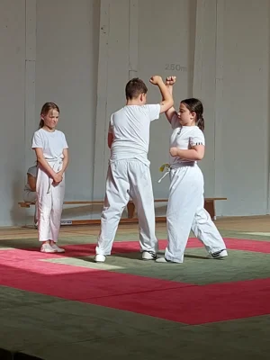 Foto des Albums: Kinder und Jugendprüfungen
